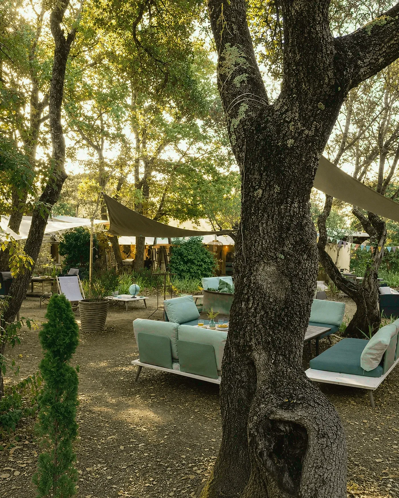 Côté jardin : tables à l'ombre des arbres, ambiance détendue.